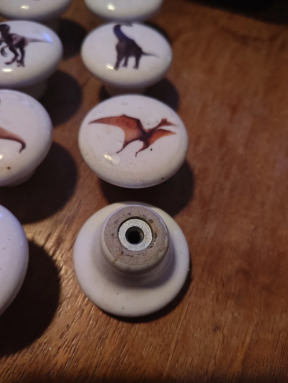Dinosaur Knobs